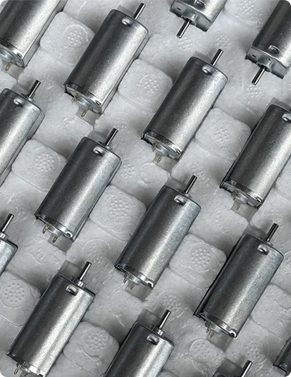 Micro Motor